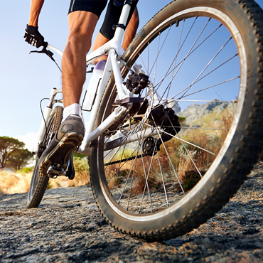3D printed sprockets