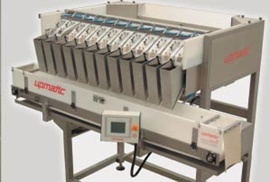 Filling and sealing machine