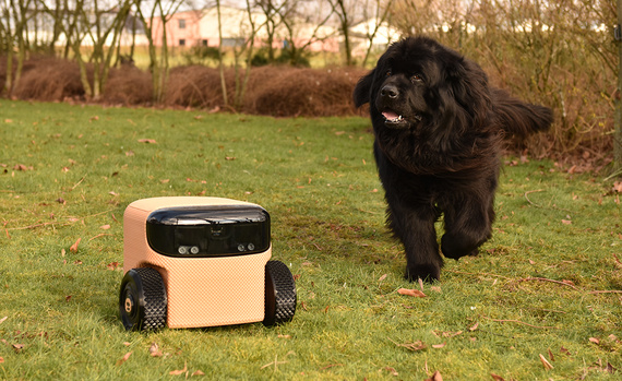 Personal robot Willow from EEVE