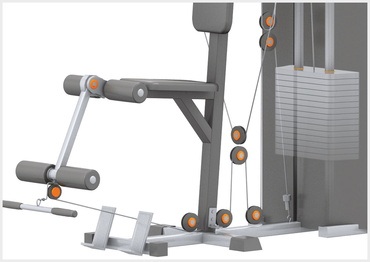 Biceps on the multigym