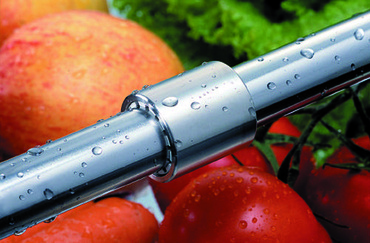 Fruit and vegetable processing