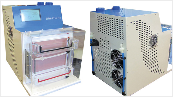 DNA Pointer System by Krzysztof Kucharczyk Techniki Elektroforetyczne Sp