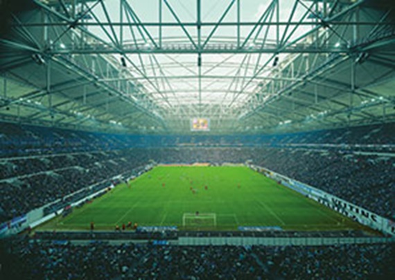 Photograph of the grass surface